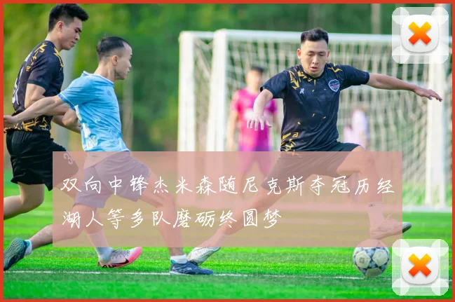 双向中锋杰米森随尼克斯夺冠历经湖人等多队磨砺终圆梦